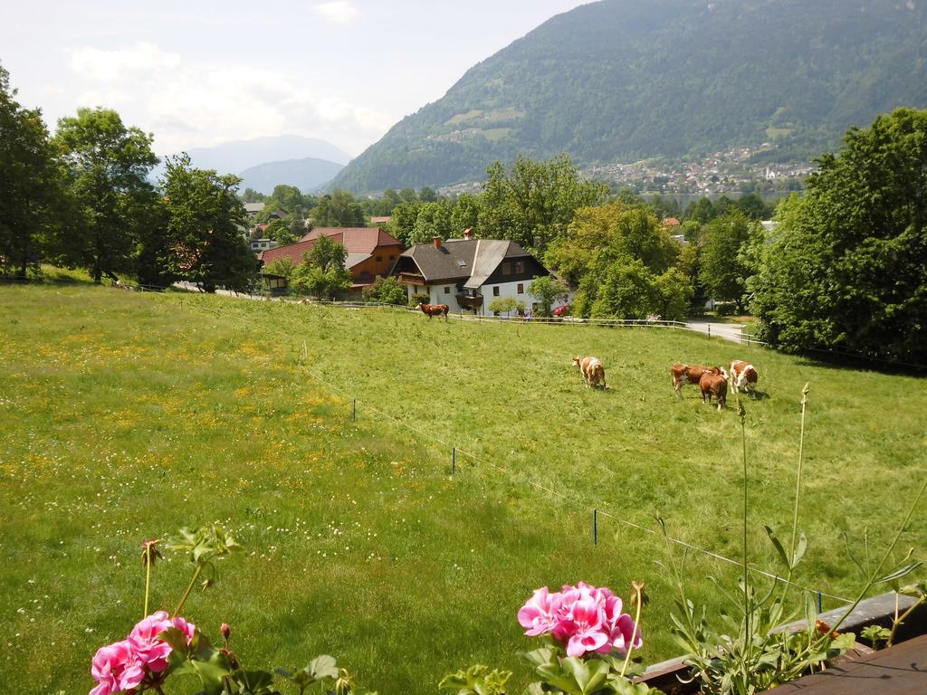 Seeblick-Appartements Ossiach Rum bild